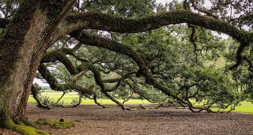 手机攻击器APP下载